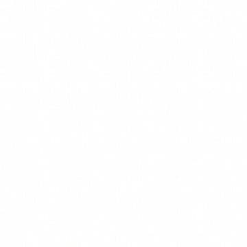Validator