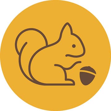 Validator