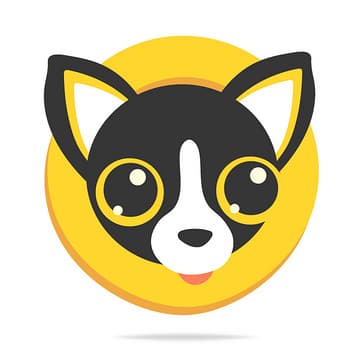 Validator