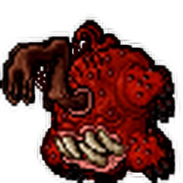 Validator