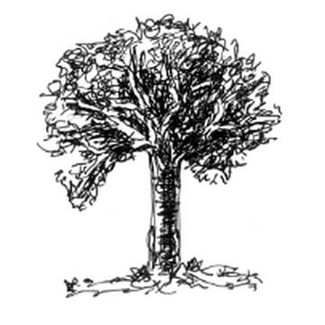 Validator