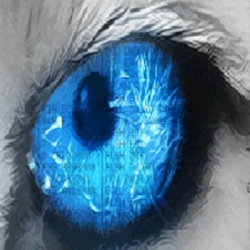 Validator