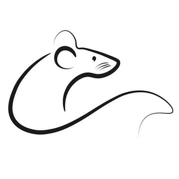 Validator