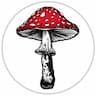 .agaric